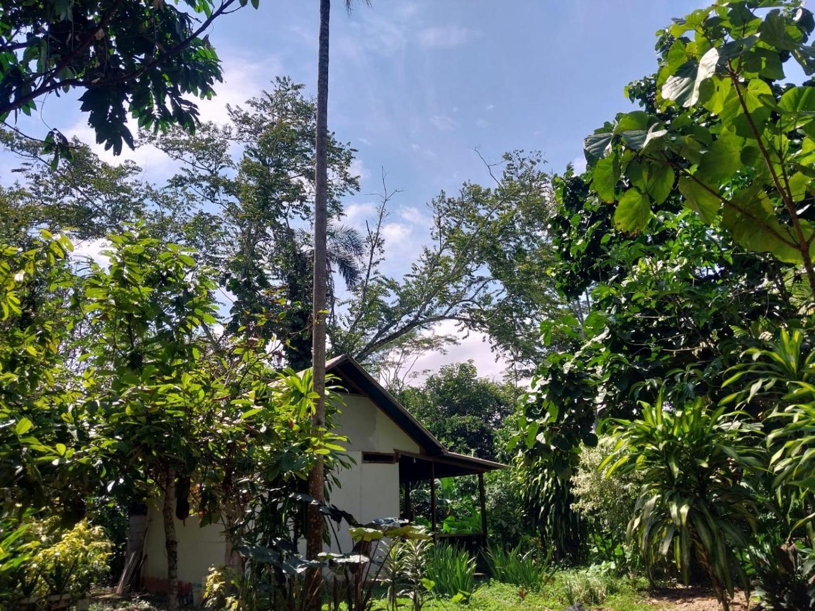 Jardin De Las Musas Puerto Maldonado Cameră foto