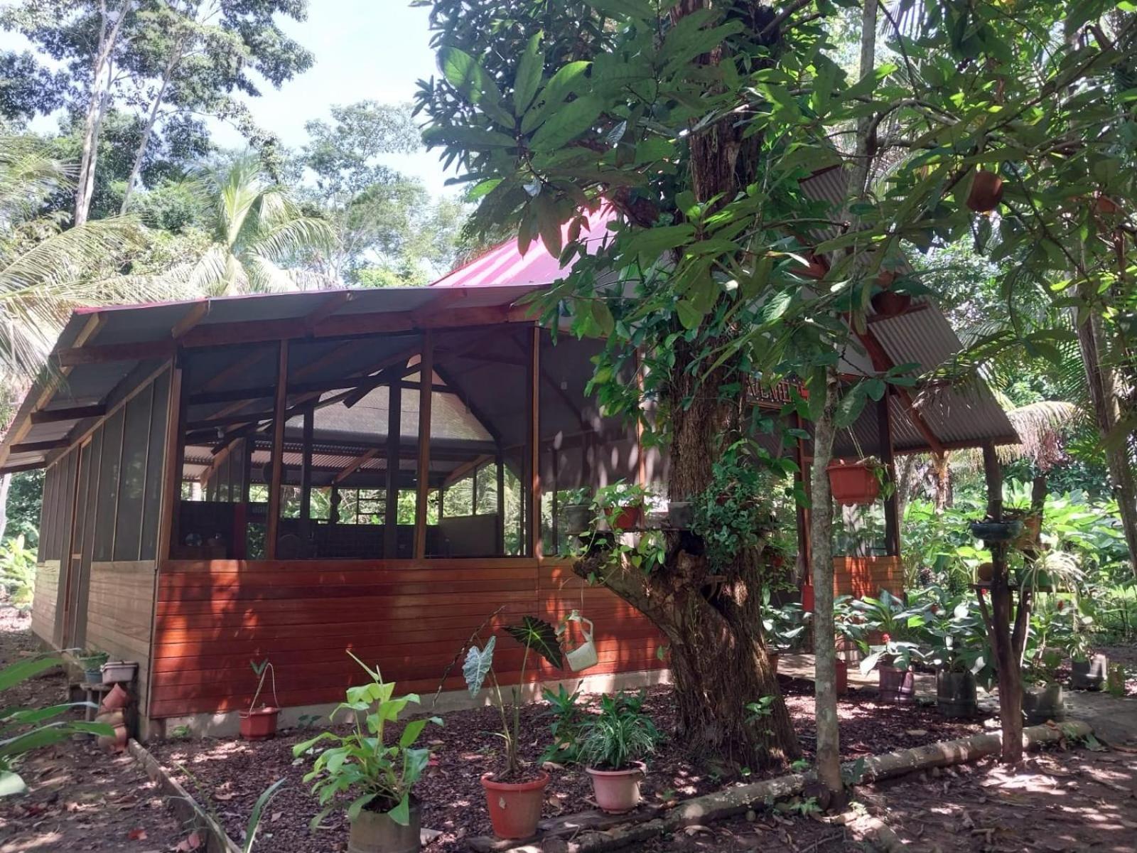 Jardin De Las Musas Puerto Maldonado Exterior foto