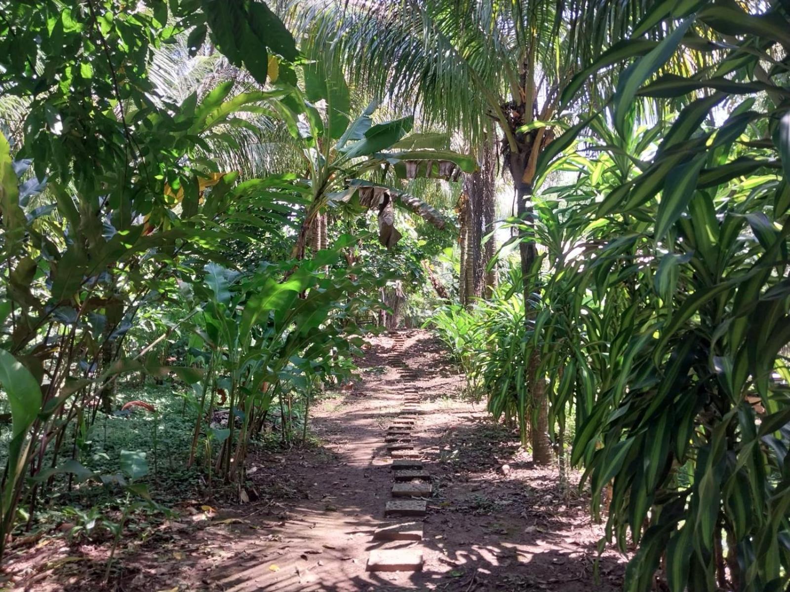 Jardin De Las Musas Puerto Maldonado Exterior foto