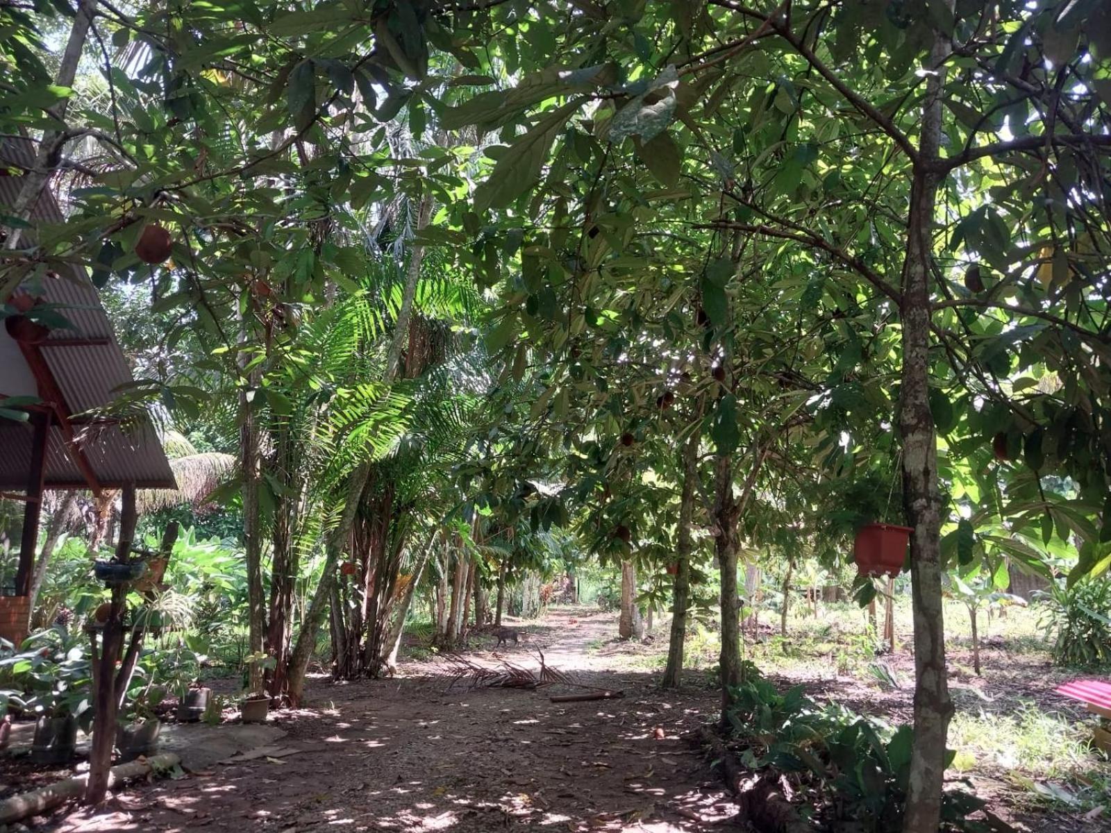 Jardin De Las Musas Puerto Maldonado Cameră foto