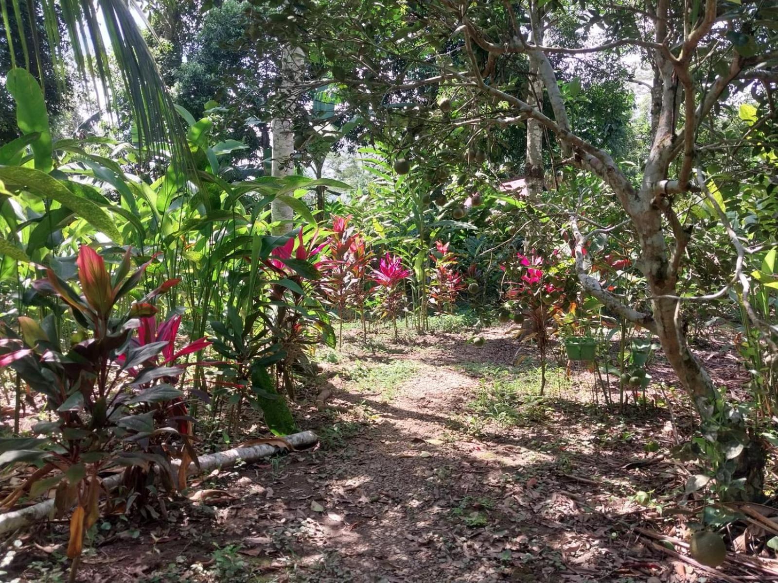Jardin De Las Musas Puerto Maldonado Exterior foto