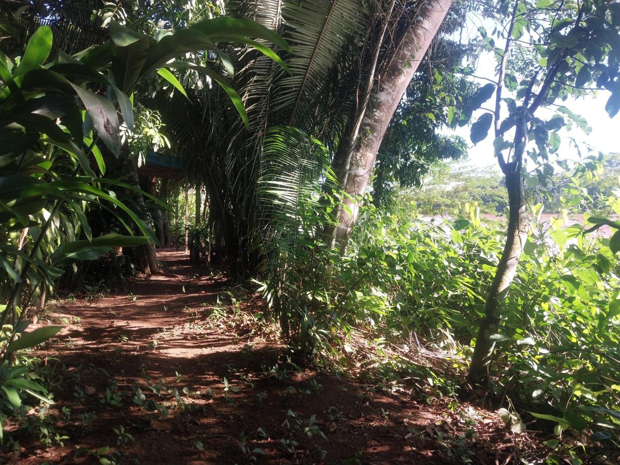 Jardin De Las Musas Puerto Maldonado Cameră foto